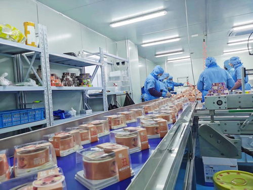 數據驅動 日用百貨企業的精準定位與市場開發